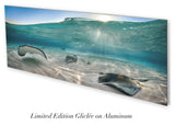 "Afternoon Rays" 18X48 Exhibition Print