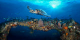 "Bonnie's Arch" 30X80 Exhibition Print  Gallery Wrapped Canvas