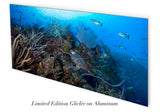 "Breaker's Cutback" 24X48 Exhibition Print Gloss