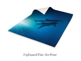 "Celestial Dolphins"