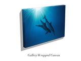 "Celestial Dolphins"
