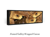 "Loggerhead Sea Turtles"