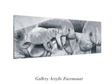"Manatee Mother with Calf"