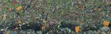 "Great Wall West 2010"