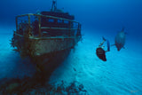 "Mariner"
