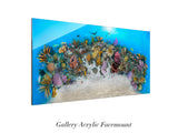 "Clarion Sea" 24X48 Exhibition Print Satin