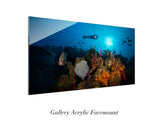"West Chute" 24X48   Exhibition Print Satin