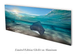 "January Rays" 14X36 Exhibition Print Satin