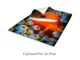 "Anemonefish"