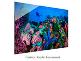 "Coral Fantasia"