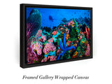 "Coral Fantasia"