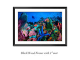 "Coral Fantasia"