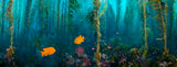 "Kelp Forest Damsels" Fabric Print