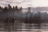 "Morning Mist"
