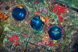 "Makeover" 32X48 Exhibition Print Satin
