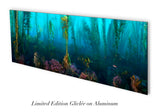 "Morning Calm"   18X48      Exhibition Print Gloss