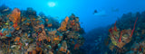 "Orange Canyon Rays" 14X36 Exhibition Print Gloss