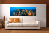 "Orange Canyon" 14X36 Exhibition Print Satin