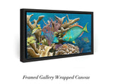 "Parrotfish Reef"