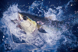"Yellowfin Breach"