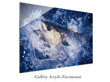 "Yellowfin Breach"