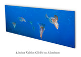 "Reef Squid Squadron"