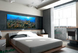 "Sea Fan Forest" 18X48 Exhibition Print Satin