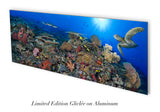"South Point 2"  40X110 Limited Edition