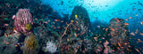 "The Center" 22X60 Exhibition Print Gloss