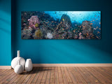"The Center" 22X60 Exhibition Print Gloss