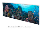 "The Center" 22X60 Exhibition Print Gloss