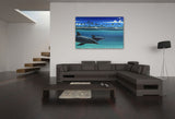 "Dolphins"