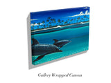 "Dolphins"