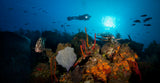 "West Chute" 24X48   Exhibition Print Satin
