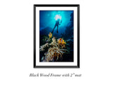 "Clownfish and Diver"