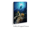 "Clownfish and Diver"