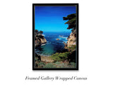 “Point Lobos"