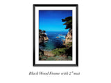 “Point Lobos"