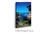 “Point Lobos"