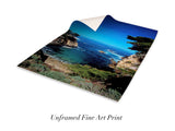 “Point Lobos"