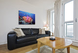 “Coral Reef Explosion"