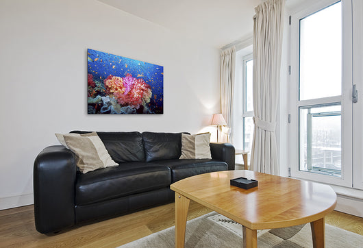 “Coral Reef Explosion