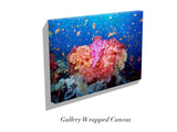 “Coral Reef Explosion"