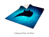 "Manta Ray in Sunburst"