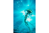 "Jellyfish in Sunburst"