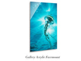"Jellyfish in Sunburst"