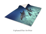 "Pod of Atlantic Spotted Dolphins"