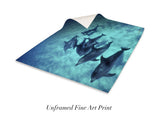 "Snorkeler With Pod Of Atlantic Spotted Dolphins"